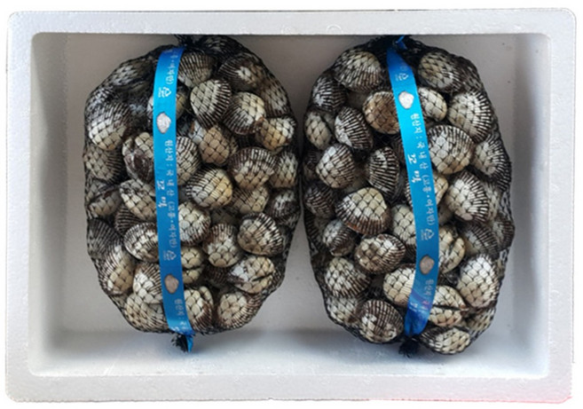 밥도둑 여자만 벌교 새꼬막, 1개, 대2kg