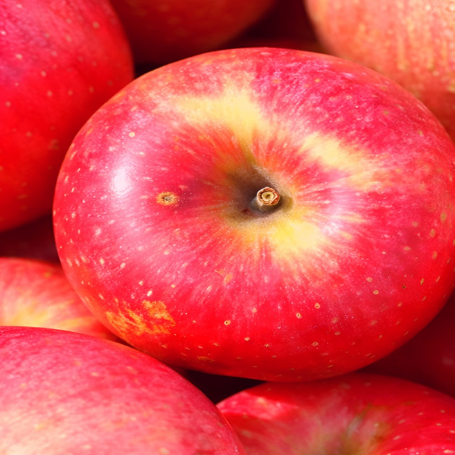 [부자사과] 맛있는 고당도 청송 꿀사과 흠과 못난이 사과, 1박스, 중과10kg