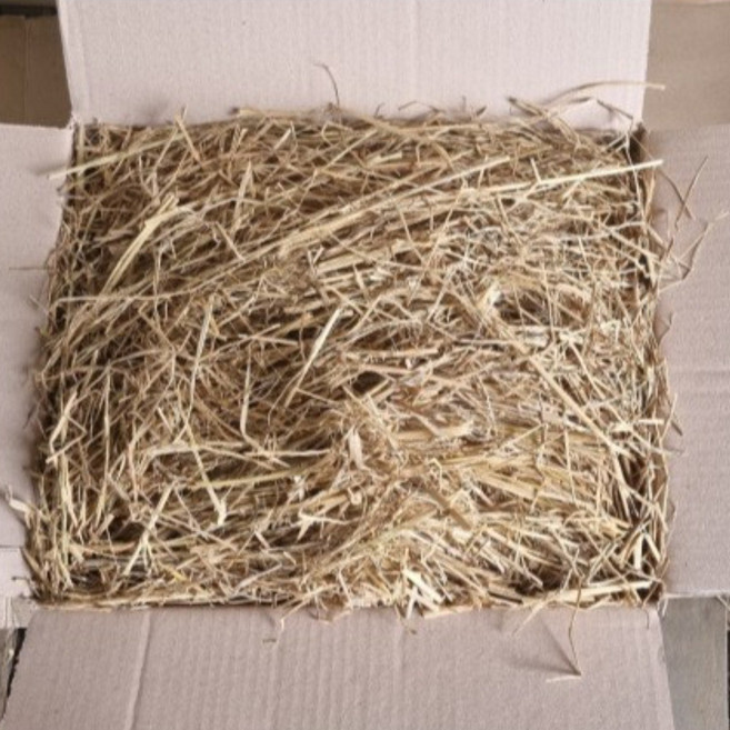 볏짚 2kg 지푸라기 길고양이 강아지집 보온재 다용도용, 1개