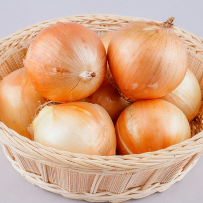 신선한 국산 양파 농장, 1개, 양파 3kg / 대