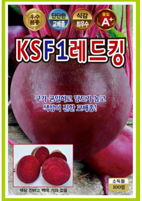 레드킹비트 씨앗 (100립) 종묘 종자 웰빙 비트, 1개