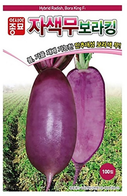 자색무 보라킹 씨앗 100립 무 저장성 좋은 무우 샐러드 채소 국산 종자, 1개