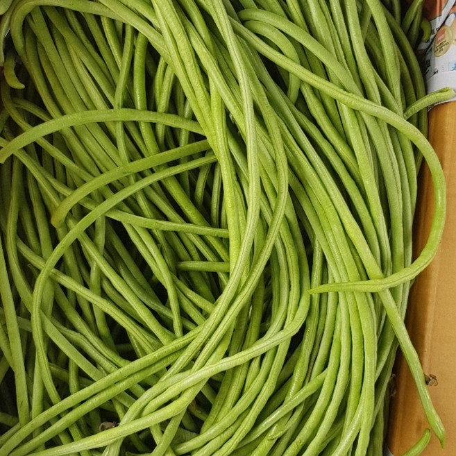 (차씨네숍)흰줄콩 1kg, 1개