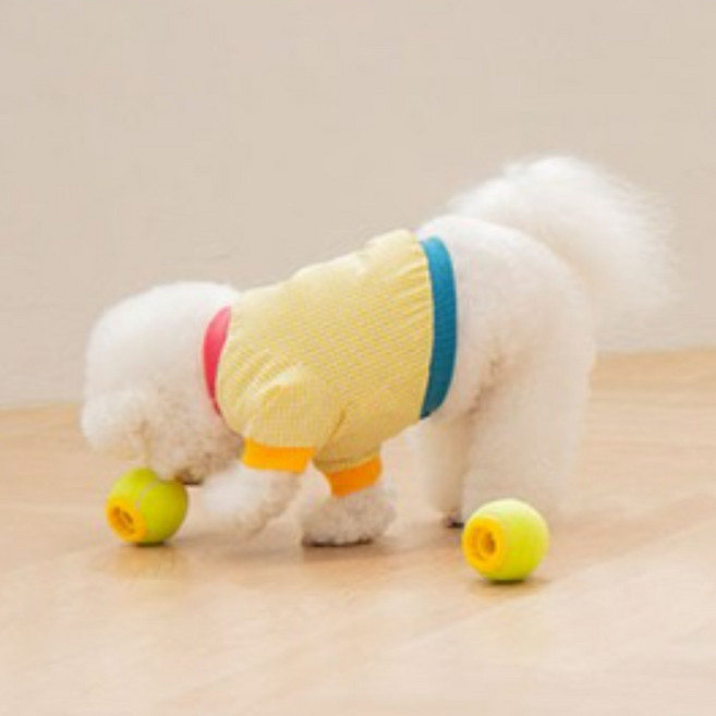 르칙 노즈워크 간식 장난감 테니스볼 애견, 연두색, 3개