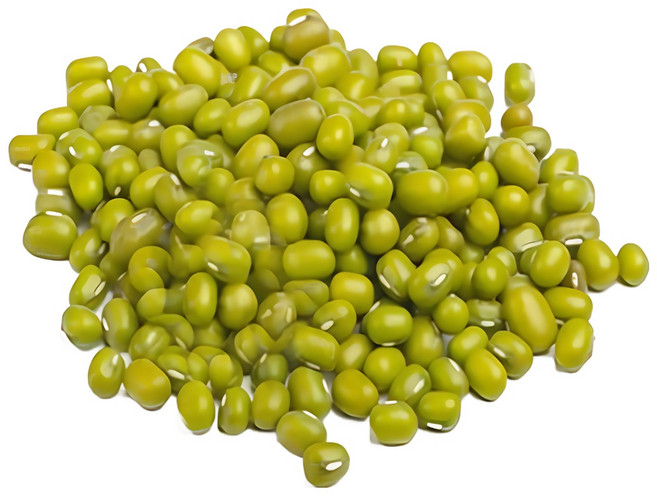 수입산 녹두 통녹두 수입녹두(중국산) 4.5kg, 1개