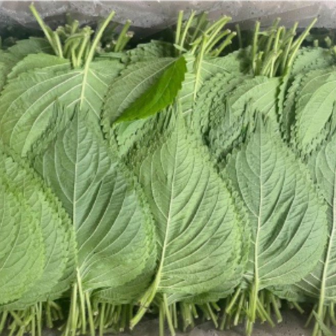 국내산 찹찹이 깻잎 2kg, 1개