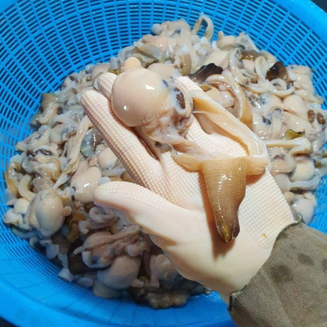 [남해홍합] 경남 남해군 손질우럭조개살, 1개, 500g