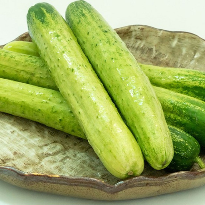[산지직송] 국내산 신선 백다다기 오이 5kg, 1박스