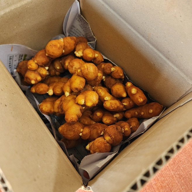 생강종자 종자용 토종 개량종 생강 흙 씨생강 1kg 국산, 1개, 씨생강-(개량종/종자용) 1kg