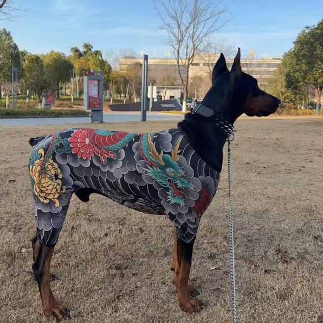 누누마켓 펫타투 문신 착시 강아지 옷 프린팅 반려견 패션, 1개, ONE