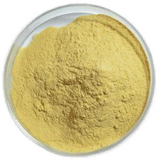 망고농축분말 1kg, 1개