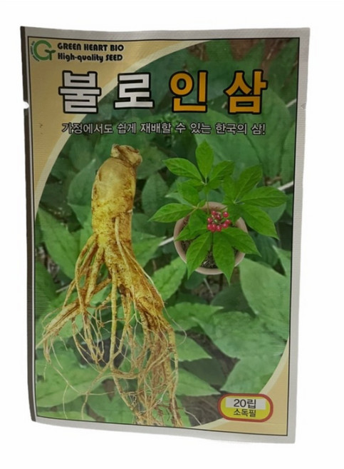 인삼 씨앗 불로인삼 20립 [26년포장]