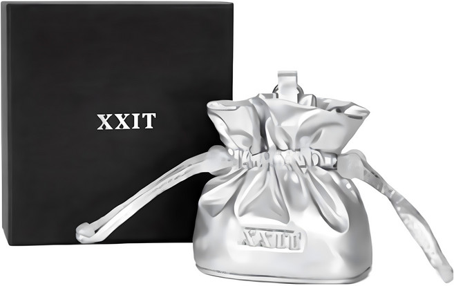 엑시트 벨로라 골프파우치 골프공 파우치 볼주머니 카라비너 포함 선물용 프리미엄 케이스, 메탈릭 실버, 1개