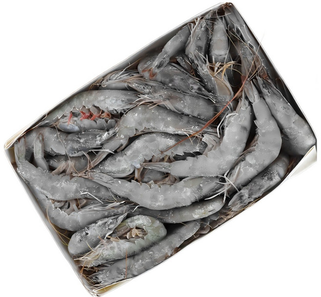 페루산 흰다리새우 냉동 왕새우 생새우 제철 대하, 1개, 2kg, 흰다리새우 특대 [20/30] 40미~60미