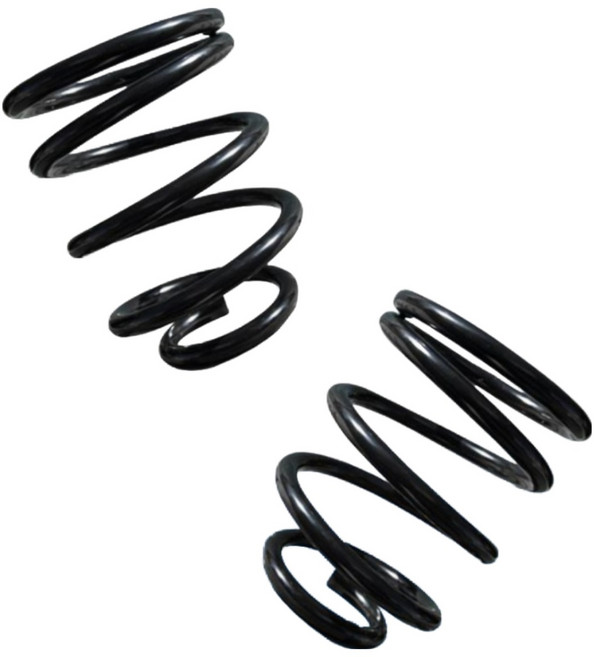 오토핏 퍼펙트 파워 코일스프링 2개 한세트, (일반형) 검정, 봉고3