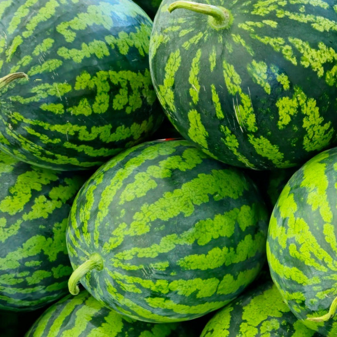 [다정한과일] 제철과일 고당도 꿀수박 (새벽경매/산지직송), 1박스, (산지직송) 4kg 이상