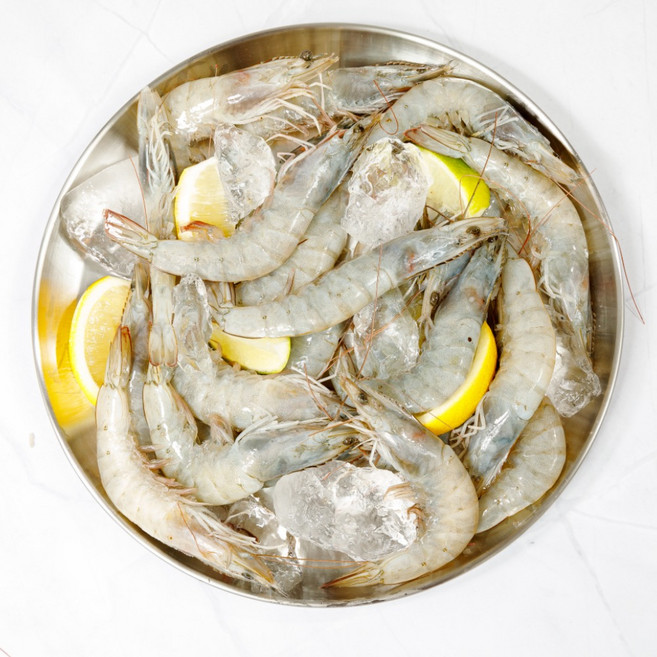 급속냉동 프리미엄, 1개, 흰다리새우(중) 500g_25미