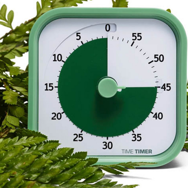 타임타이머 구글타이머 홈에디션 TIME TIMER HOME EDITION 11종 루덴스 정식수입품, 펀 그린