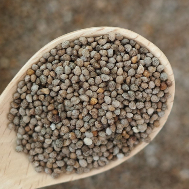 장수양행 볶은들깨450g 국산 깨끗이 세척 후 볶은 들깨, 1개, 450g