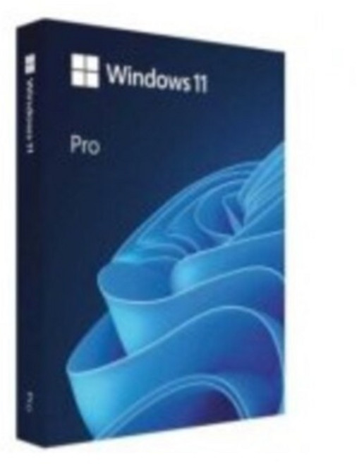 마이크로소프트 Windows 11 Pro 처음사용자용 FPP USB, HAV-00211