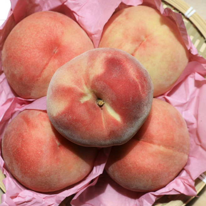 [산지직배송] 아삭한 식감 살아있는 딱딱이 털복숭아, 1개, (특가) 딱딱이 털복숭아 로얄과 2kg (6-11과)