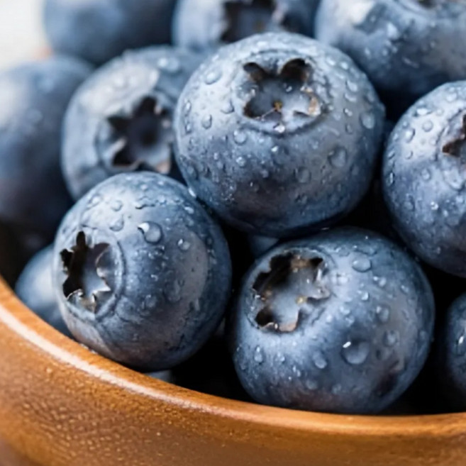 솔이네 직수입 고당도 프리미엄 생 블루베리, 6박스, 125g(특대 18mm)