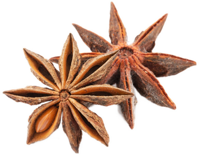 신서리티 팔각 스타아니스 60g x 2개