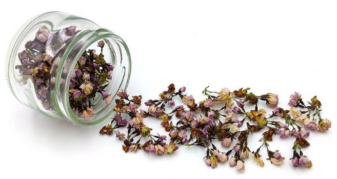 길은꽃차 유기농 벚꽃차 /국산, 1개, 4g, 1개입