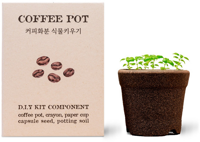 싱글룸 커피박 화분 바질 식물키우기 체험키트 커피찌꺼기 업사이클링 제로웨이스트 환경교육
