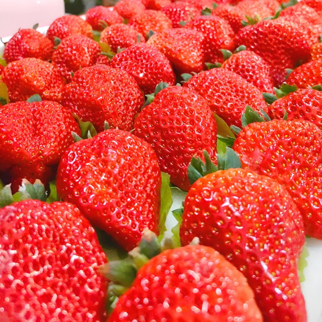 [유통마진제로] 수출대란 오늘수확 킹스베리 국내산 설향 딸기 논산 산지직송, 1세트, 400g (특)