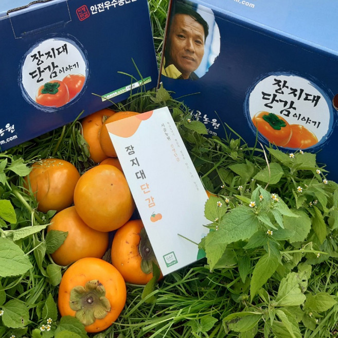 6위 - [45년 시골농원] 진영 단감 세계농업인기술상, 1박스, 10kg, 중과 50개