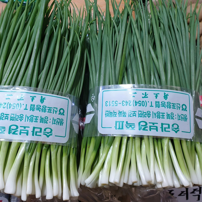 [당일손질] 쪽파 깐쪽파 실파 잔파 햇쪽파 해풍맞은, 1개, 900g