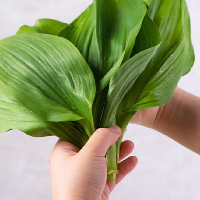 [프리미엄]강원도 홍천 농약 1도 안들어간 유기농 명이 나물 산마늘명이나물 3월 28일 순차적으로 배송 시작, 2kg, 1박스