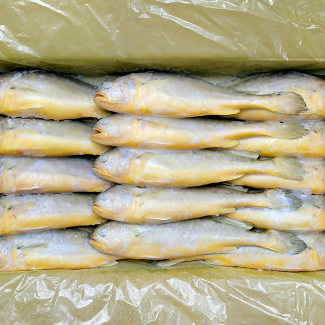 해물총각 부세조기 15마리 1박스, 3.4kg