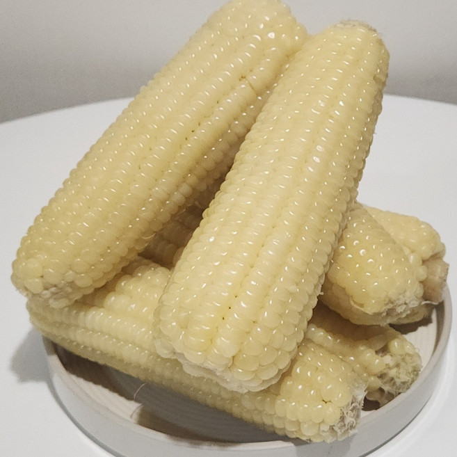 [특가!] 냉동 찰옥수수 특대사이즈(18~16cm) 백찰, 7개, 2.2kg