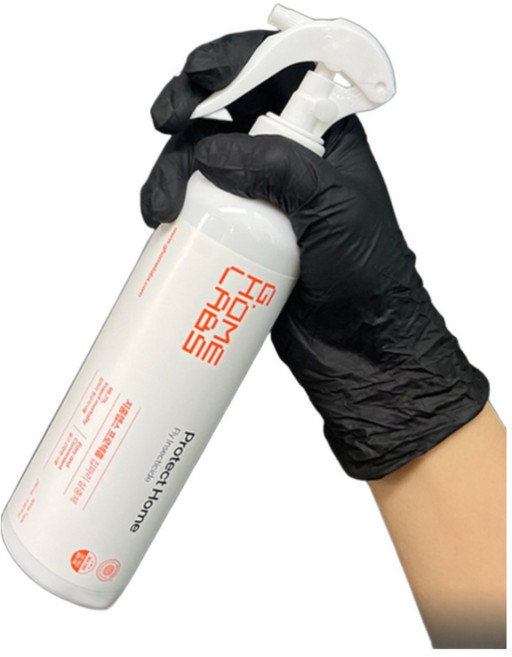 국보싸이언스 프로텍홈 파리 빈대 살충제 290ml, 1개입, 1개