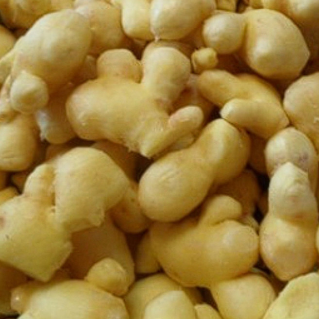 (한마음 미트) ( 냉동 세척 깐 생강 업소용10kg (베트남), 1박스, 10KG