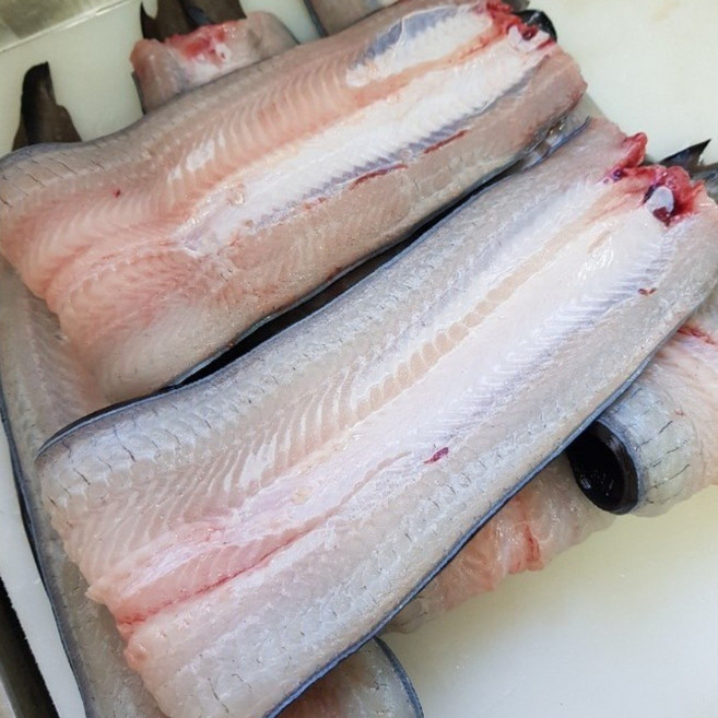 [당일300개한정판매!!] 대진양만 생산자직배송 풍천민물장어 자포니카 1.5kg 손질후500g2개[국내산:전라북도 고창군], 2개, 500g