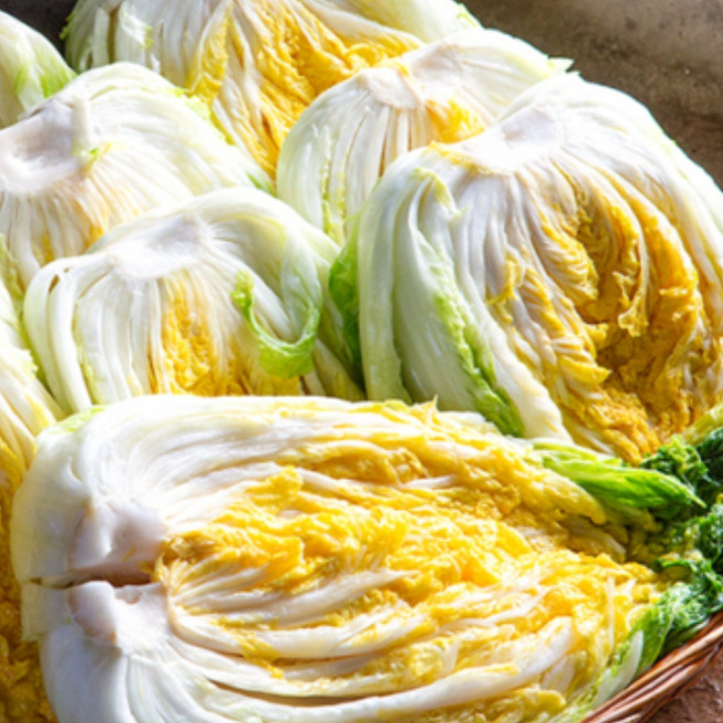 흙당 갓절인 명품 해남 땅끝마을 절임배추 김장배추, 1, 1개, 20kg