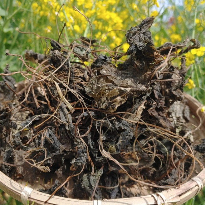 국산 무농약 친환경 건취나물 160g 경남고성 참다래마을, 1개