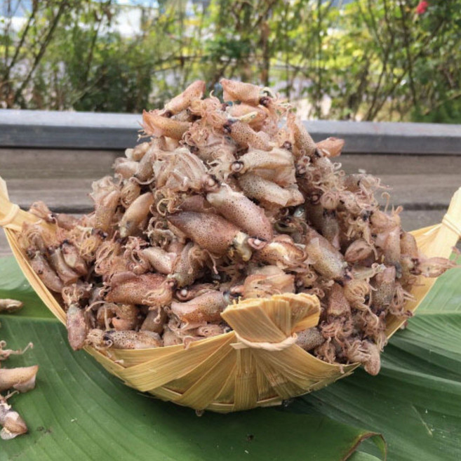 신건호멸치 직접잡은 햇 꼴뚜기(상급) / 반찬 건꼴뚜기 마른안주, 1개, 500g