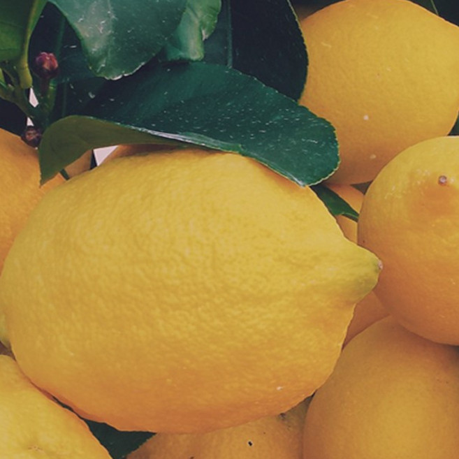 썬키스트 팬시 레몬 특대과 30입 4.2kg, 1개, 4.2kg 내외( 30입)