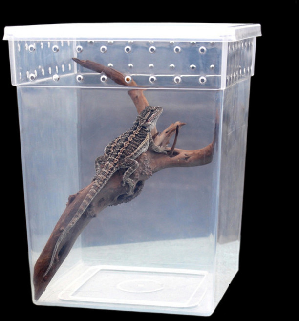 랜보어 파충류 세로타입 사육장 FREE, 반투명, 1개