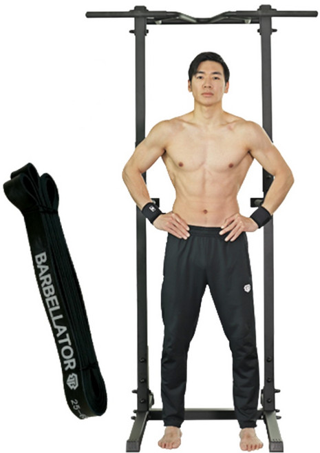 [풀업밴드+1 증정] 바벨라토르 치닝디핑 베이직 리쌤 철봉 실내 가정용 턱걸이 운동기구 홈트레이닝 친업 딥스 풀업 기구 머신