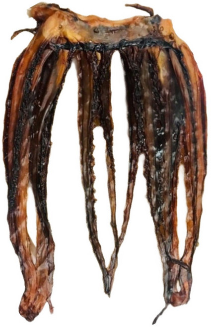 유쾌상회 국내가공 오다리 망족, 1개, 1kg