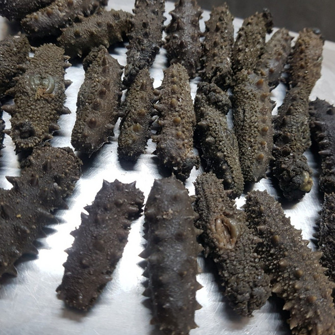 국산 남해바다 자숙해삼(사이즈 소 중), 국산자숙500g/중/30미내외, 1개