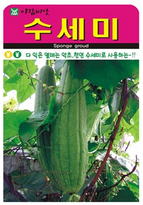 수세미 씨앗 씨 종자, 3개