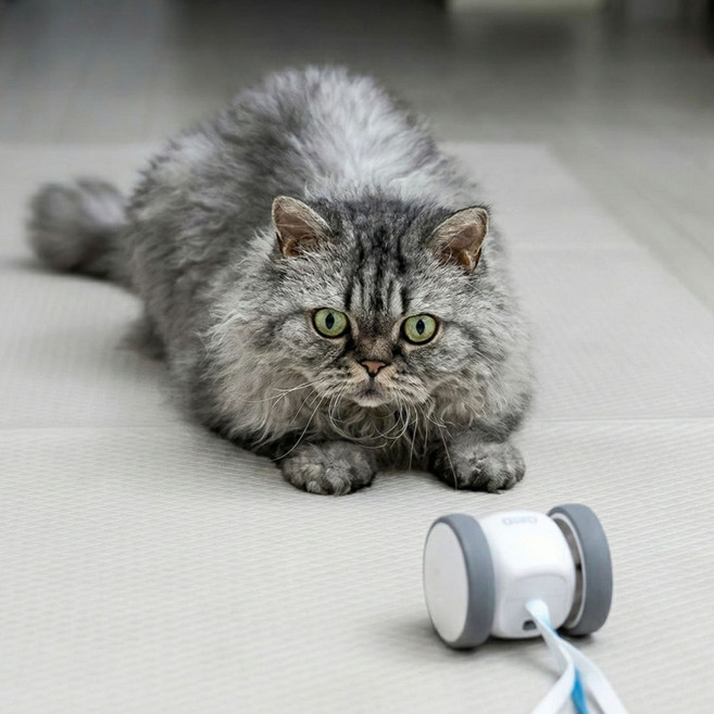 냥쌘돌이 고양이 자동 장난감 USB-C 충전식 LED 회전 깃털, 1개, PET_NSD_01