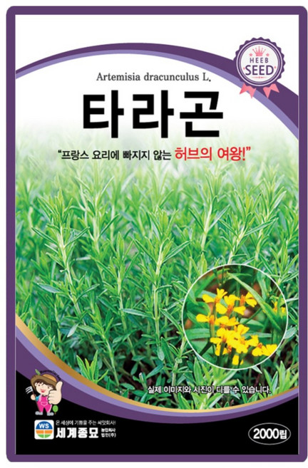 세계종묘 타라곤 씨앗 2000립 타라곤씨 허브 종자, 1개