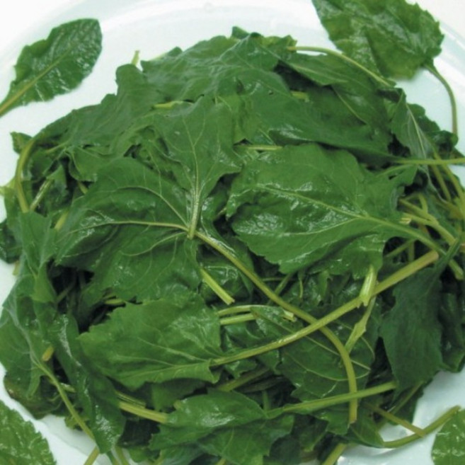 취나물 보름나물 제철나물 국산 취나물(생데친) 1Kg, 1kg(벌크), 1개